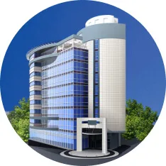 Property Buying Renting Real  Agencies With Finding - 旺财28